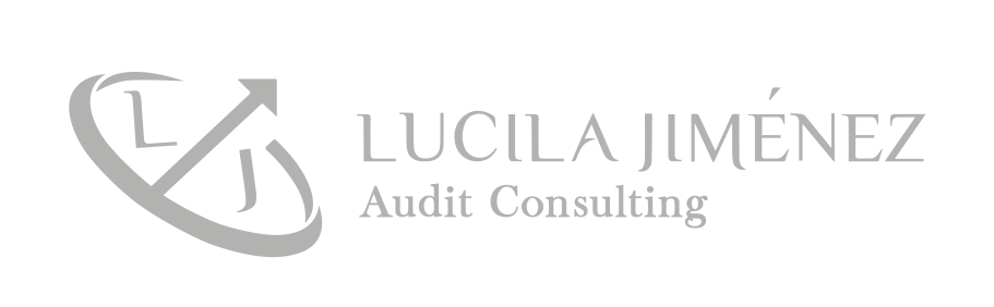 LJ Audit Consulting